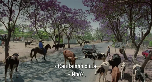 Hình ảnh Vào đời tập 1 trên PhimMoiHot Hình ảnh Vào đời tập 1 trên PhimMoiHot