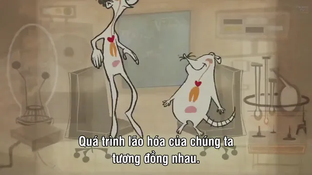 Your Friend the Rat 2007 Vietsub HD - PhimMoiHot Your Friend the Rat 2007 Vietsub HD - PhimMoiHot