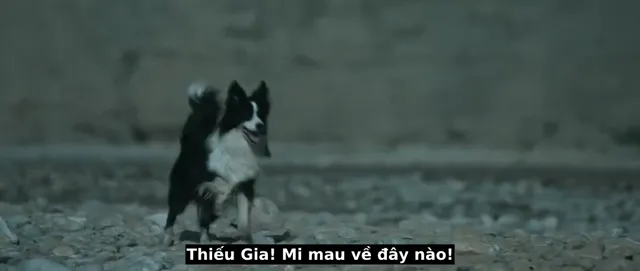 Hình ảnh phim Sa Hải Chúc Long trên PhimMoiHot Hình ảnh phim Sa Hải Chúc Long trên PhimMoiHot