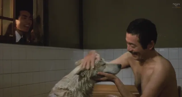 Hình ảnh Câu Chuyện Về Chú Chó Hachiko tập 1 trên PhimMoiHot Hình ảnh Câu Chuyện Về Chú Chó Hachiko tập 1 trên PhimMoiHot