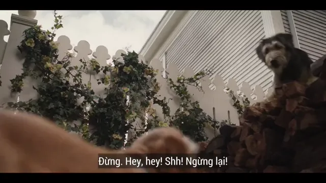 Xem Tiểu Thư Và Gã Lang Thang tập 1 Vietsub tại PhimMoiHot Xem Tiểu Thư Và Gã Lang Thang tập 1 Vietsub tại PhimMoiHot