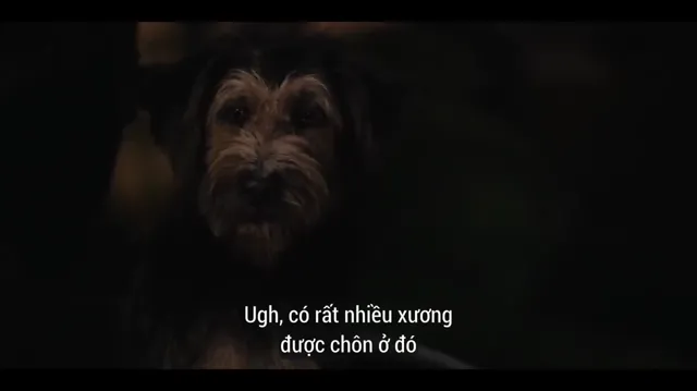 Hình ảnh Tiểu Thư Và Gã Lang Thang tập 1 trên PhimMoiHot Hình ảnh Tiểu Thư Và Gã Lang Thang tập 1 trên PhimMoiHot