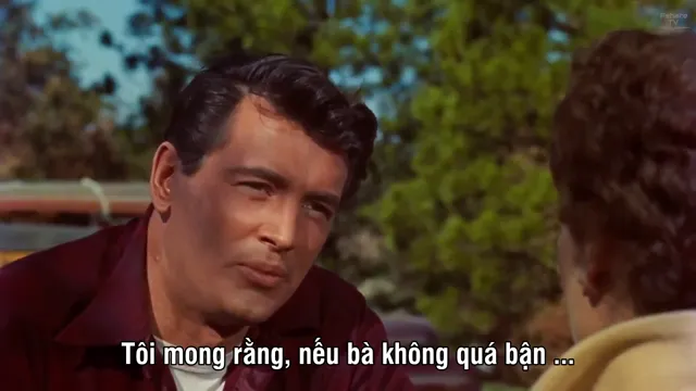 Xem phim All That Heaven Allows Vietsub HD tại PhimMoiHot Xem phim All That Heaven Allows Vietsub HD tại PhimMoiHot