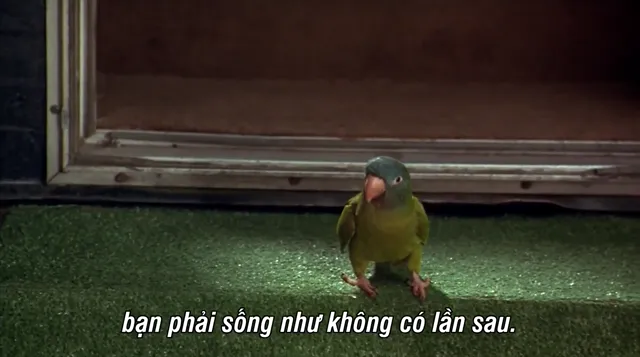 Hình ảnh Paulie tập 1 trên PhimMoiHot Hình ảnh Paulie tập 1 trên PhimMoiHot