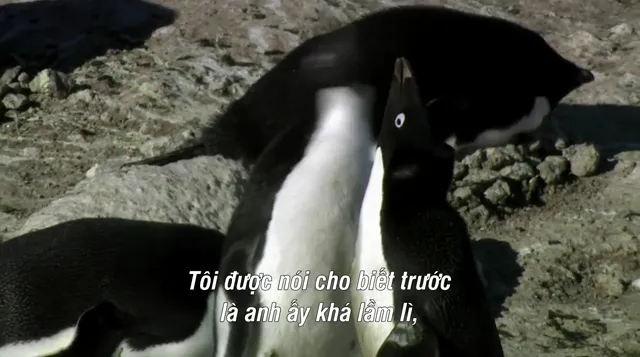 Encounters at the End of the World tập 1 Vietsub HD - PhimMoiHot