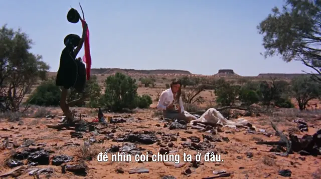 Xem phim Walkabout Vietsub HD tại PhimMoiHot Xem phim Walkabout Vietsub HD tại PhimMoiHot