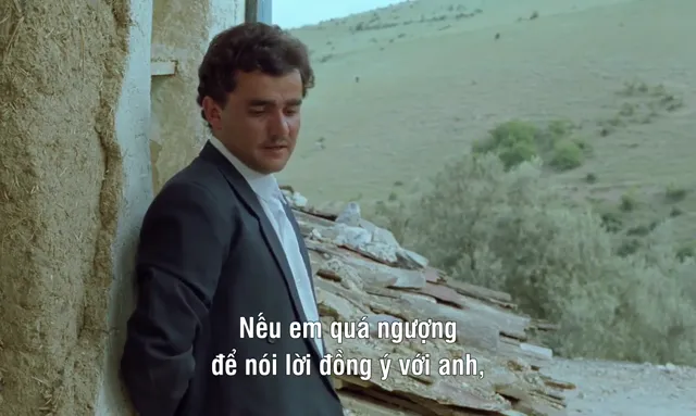 Through the Olive Trees 1994 Vietsub HD - PhimMoiHot Through the Olive Trees 1994 Vietsub HD - PhimMoiHot