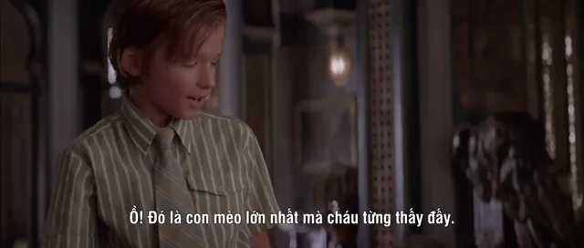 Xem phim Mong Ước Cuồng Dại Vietsub HD tại PhimMoiHot Xem phim Mong Ước Cuồng Dại Vietsub HD tại PhimMoiHot