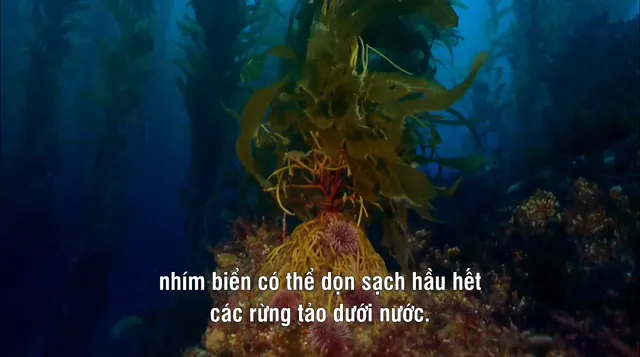 Xem phim Thế Giới Đã Mất Vietsub HD tại PhimMoiHot Xem phim Thế Giới Đã Mất Vietsub HD tại PhimMoiHot