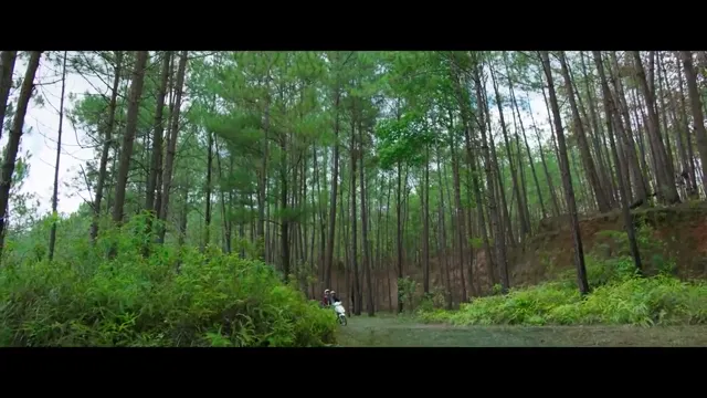 Yêu Nhau Mùa ‘Ế’ 2020 Vietsub HD - PhimMoiHot Yêu Nhau Mùa ‘Ế’ 2020 Vietsub HD - PhimMoiHot