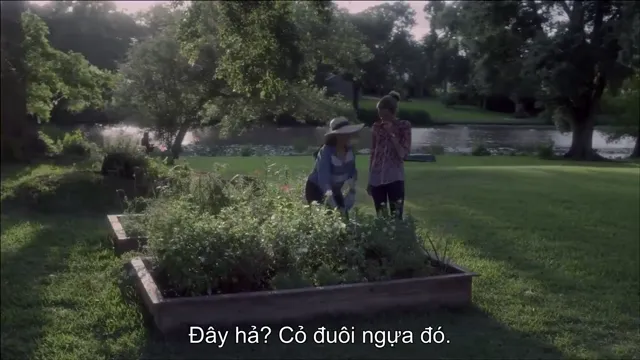 Xem phim Giáng Sinh Nơi Đầm Lầy Vietsub HD tại PhimMoiHot Xem phim Giáng Sinh Nơi Đầm Lầy Vietsub HD tại PhimMoiHot