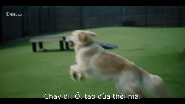 Trái tim ngừng nhịp: Mãi yêu 2026 Vietsub HD - PhimMoiHot Trái tim ngừng nhịp: Mãi yêu 2026 Vietsub HD - PhimMoiHot