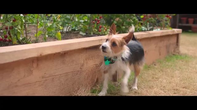 Ivy + Bean tập 1 Vietsub HD - PhimMoiHot Ivy + Bean tập 1 Vietsub HD - PhimMoiHot
