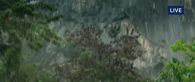 Cave Rescue 2019 Vietsub HD - PhimMoiHot Cave Rescue 2019 Vietsub HD - PhimMoiHot