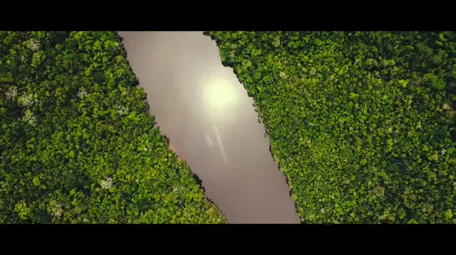 Xem phim Running with the Devil: The Wild World of John McAfee Vietsub HD tại PhimMoiHot