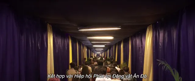 Chú Chó Charlie 2022 Vietsub HD - PhimMoiHot Chú Chó Charlie 2022 Vietsub HD - PhimMoiHot