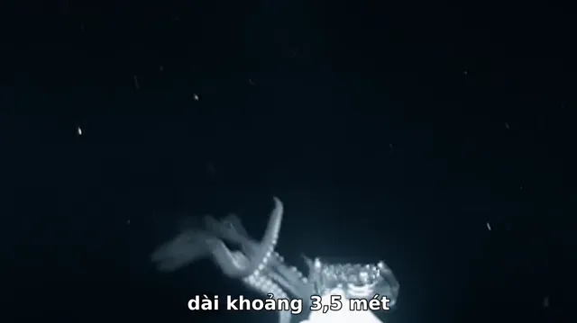 Hình ảnh Sinh Vật Huyền Bí: Lịch Sử Tự Nhiên tập 1 trên PhimMoiHot Hình ảnh Sinh Vật Huyền Bí: Lịch Sử Tự Nhiên tập 1 trên PhimMoiHot
