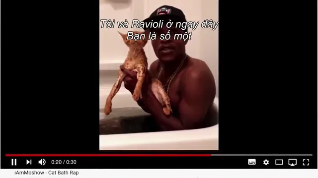 Hình ảnh phim Những người yêu mèo trên PhimMoiHot Hình ảnh phim Những người yêu mèo trên PhimMoiHot