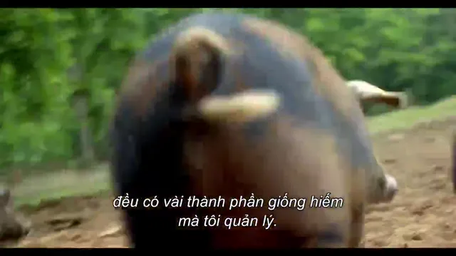 Nghệ thuật nấu ăn tập 1 Vietsub HD - PhimMoiHot Nghệ thuật nấu ăn tập 1 Vietsub HD - PhimMoiHot