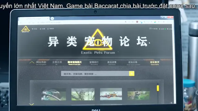 Phá Kén 2020 Vietsub HD - PhimMoiHot Phá Kén 2020 Vietsub HD - PhimMoiHot