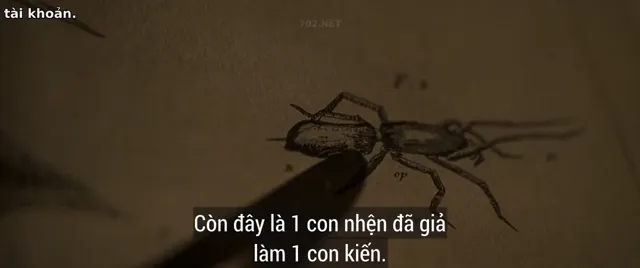 Hình ảnh phim Thuyền Trưởng và Đại Úy trên PhimMoiHot Hình ảnh phim Thuyền Trưởng và Đại Úy trên PhimMoiHot