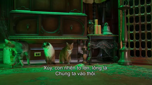 Mèo nhát tập 1 Vietsub HD - PhimMoiHot Mèo nhát tập 1 Vietsub HD - PhimMoiHot