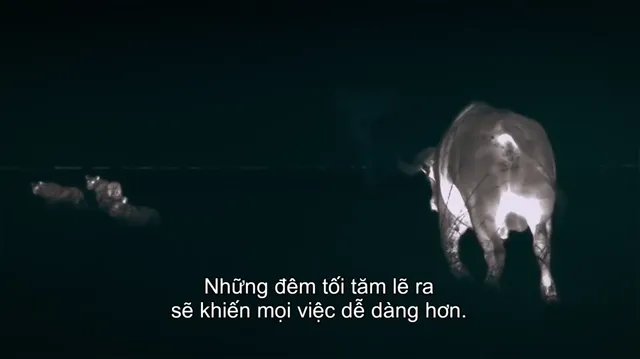 Xem Màn đêm trên Trái Đất tập 6 Vietsub tại PhimMoiHot Xem Màn đêm trên Trái Đất tập 6 Vietsub tại PhimMoiHot