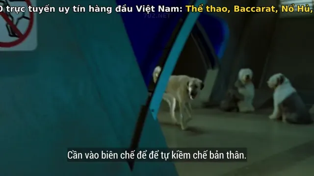 Đại Chiến Chó Mèo 1 tập 1 Vietsub HD - PhimMoiHot Đại Chiến Chó Mèo 1 tập 1 Vietsub HD - PhimMoiHot