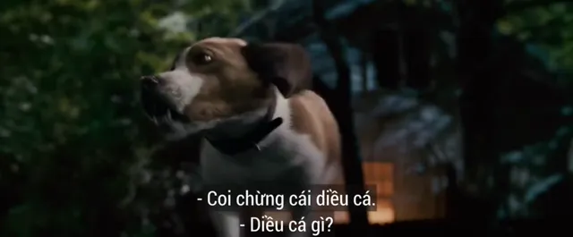 Hình ảnh phim Siêu Khuyển trên PhimMoiHot Hình ảnh phim Siêu Khuyển trên PhimMoiHot