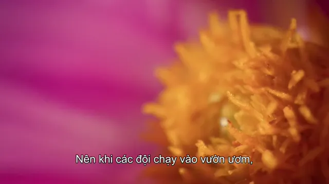 Hình ảnh Đại chiến hoa tươi tập 5 trên PhimMoiHot Hình ảnh Đại chiến hoa tươi tập 5 trên PhimMoiHot