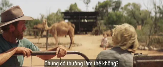 Xem phim Dấu Chân Hành Trình Vietsub HD tại PhimMoiHot Xem phim Dấu Chân Hành Trình Vietsub HD tại PhimMoiHot