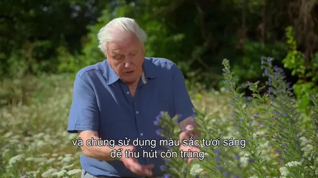 Hình ảnh David Attenborough: Sự sống đầy màu sắc tập 3 trên PhimMoiHot Hình ảnh David Attenborough: Sự sống đầy màu sắc tập 3 trên PhimMoiHot