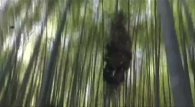 Sát Thủ Azumi 2: Tình Hay Tử 2005 Vietsub HD - PhimMoiHot