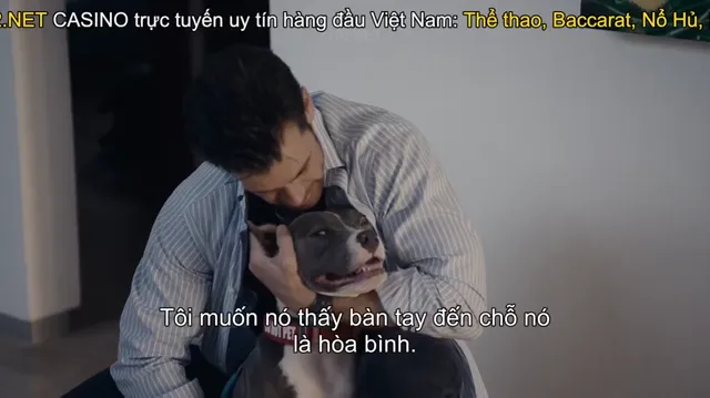 Hình ảnh Cali K9: Trường huấn khuyển tập 1 trên PhimMoiHot Hình ảnh Cali K9: Trường huấn khuyển tập 1 trên PhimMoiHot