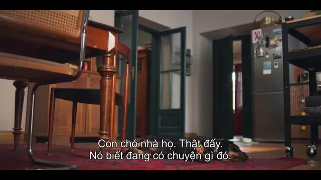 Hình ảnh phim Cuộc diễu hành của trái tim trên PhimMoiHot Hình ảnh phim Cuộc diễu hành của trái tim trên PhimMoiHot