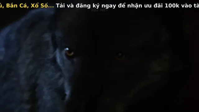 Truy Quét Dã Thú 2016 Vietsub HD - PhimMoiHot Truy Quét Dã Thú 2016 Vietsub HD - PhimMoiHot