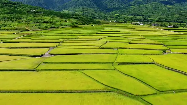 Xem phim Thiên Nhiên Tuyệt Mỹ: Đất Nước Đài Loan Vietsub HD tại PhimMoiHot Xem phim Thiên Nhiên Tuyệt Mỹ: Đất Nước Đài Loan Vietsub HD tại PhimMoiHot