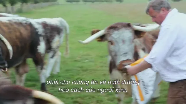Hình ảnh Cuộc Cách Mạng Bít Tết tập 1 trên PhimMoiHot Hình ảnh Cuộc Cách Mạng Bít Tết tập 1 trên PhimMoiHot