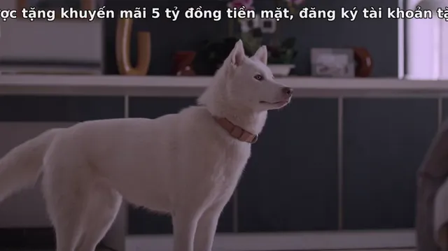 Xem phim June & Kopi Vietsub HD tại PhimMoiHot Xem phim June & Kopi Vietsub HD tại PhimMoiHot