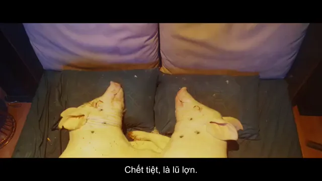 Tứ vương giang hồ tập 1 Vietsub HD - PhimMoiHot Tứ vương giang hồ tập 1 Vietsub HD - PhimMoiHot