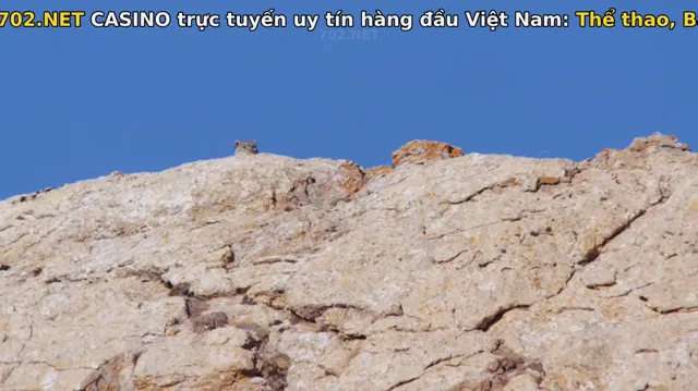 Xem phim Cuộc Sống Hoang Dã Ở Trung Quốc Vietsub HD tại PhimMoiHot Xem phim Cuộc Sống Hoang Dã Ở Trung Quốc Vietsub HD tại PhimMoiHot
