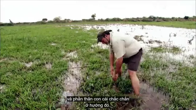 Bí Ẩn Quái Vật Khổng Lồ Titanoboa 2012 Vietsub HD - PhimMoiHot Bí Ẩn Quái Vật Khổng Lồ Titanoboa 2012 Vietsub HD - PhimMoiHot