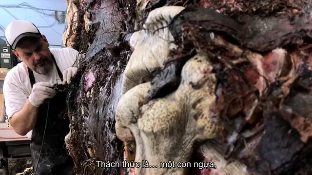 Hậu trường Đội quân người chết tập 1 Vietsub HD - PhimMoiHot Hậu trường Đội quân người chết tập 1 Vietsub HD - PhimMoiHot