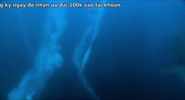 Biến Chuyển Của Sự Sống: Hành Trình Xuyên Thời Gian 2017 Vietsub HD - PhimMoiHot Biến Chuyển Của Sự Sống: Hành Trình Xuyên Thời Gian 2017 Vietsub HD - PhimMoiHot