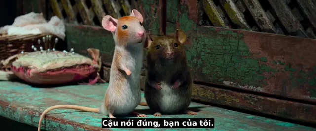 Cinderella 2021 Vietsub HD - PhimMoiHot Cinderella 2021 Vietsub HD - PhimMoiHot
