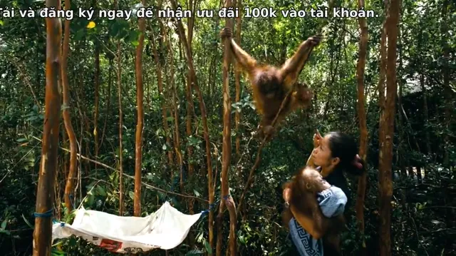 Xem Những Loài Vật Mồ Côi tập 1 Vietsub tại PhimMoiHot Xem Những Loài Vật Mồ Côi tập 1 Vietsub tại PhimMoiHot
