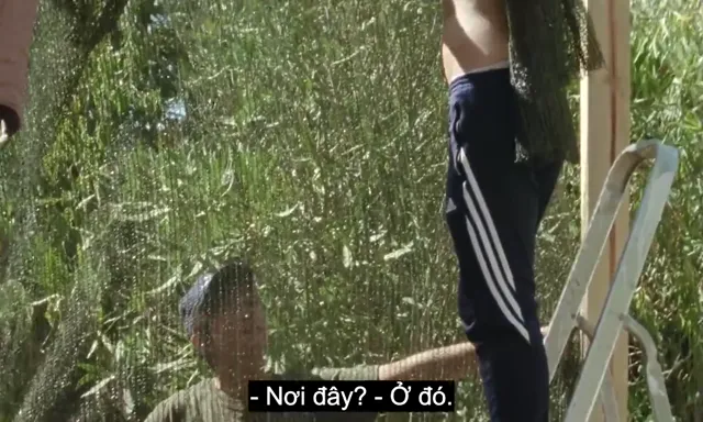 Xem The Tsugua Diaries tập 1 Vietsub tại PhimMoiHot Xem The Tsugua Diaries tập 1 Vietsub tại PhimMoiHot