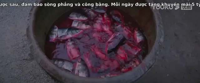 Xem Thủy Quái 2: Rừng Gỗ Mun tập 1 Thuyết Minh tại PhimMoiHot Xem Thủy Quái 2: Rừng Gỗ Mun tập 1 Thuyết Minh tại PhimMoiHot