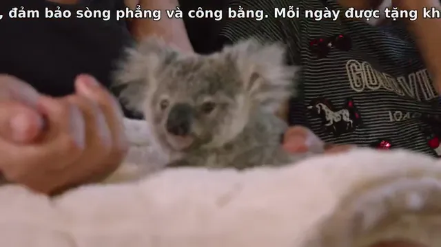 Hình ảnh Thế giới gấu túi của Izzy (Phần 2) tập 6 trên PhimMoiHot Hình ảnh Thế giới gấu túi của Izzy (Phần 2) tập 6 trên PhimMoiHot