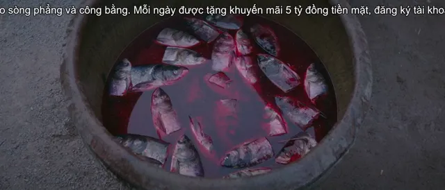 Xem Thủy Quái 2: Rừng đen tập 1 Vietsub tại PhimMoiHot Xem Thủy Quái 2: Rừng đen tập 1 Vietsub tại PhimMoiHot